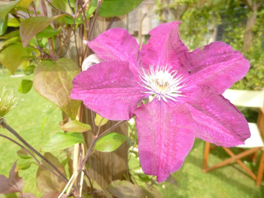 Church Hall Farm Bed And Breakfast 브록스테드 객실 사진