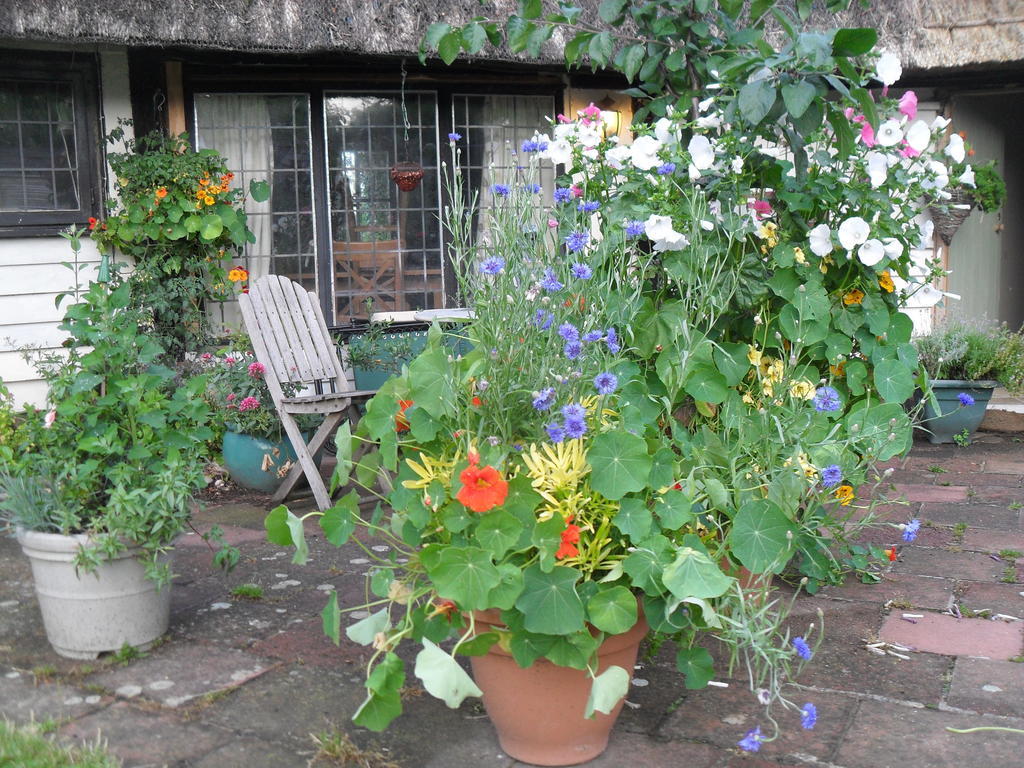 Church Hall Farm Bed And Breakfast 브록스테드 외부 사진